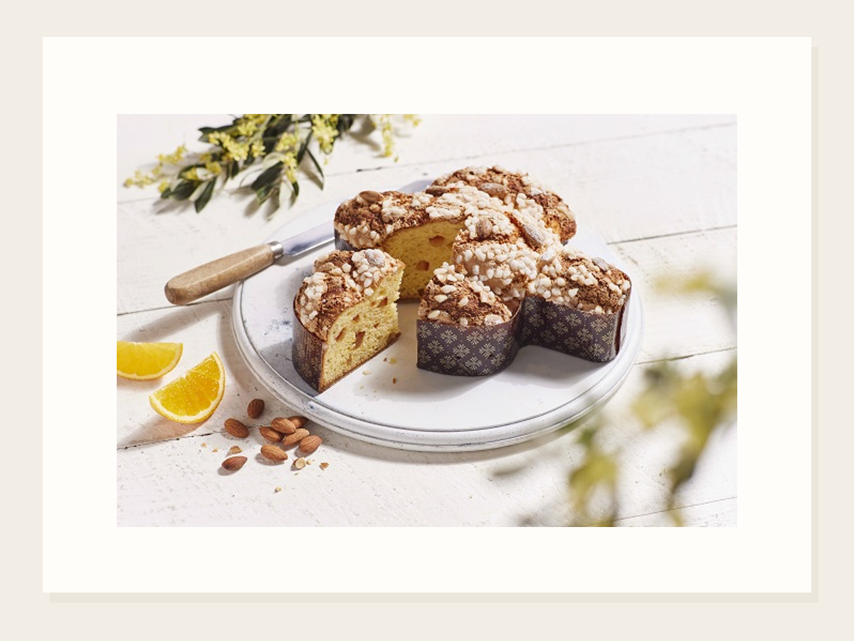 プリンチ コロンバに新サイズ登場